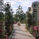 Con đường xanh giữa lòng Paris