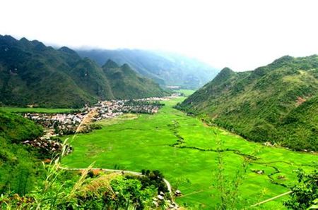 Những con đường uốn lượn quanh những ruộng mạ xanh mơn mởn