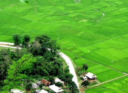 Sau hơn 3 tháng những thửa ruộng đã được phủ kín bằng màu xanh mơn mởn của mạ non