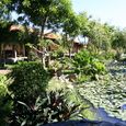 Quan cảnh chung - Đen Giòn Resort
