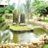 Khu nghỉ mát Phố Hội Ven Sông