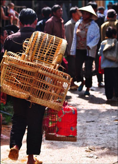 Lồng chim cũng thể hiện phong cách người chơi