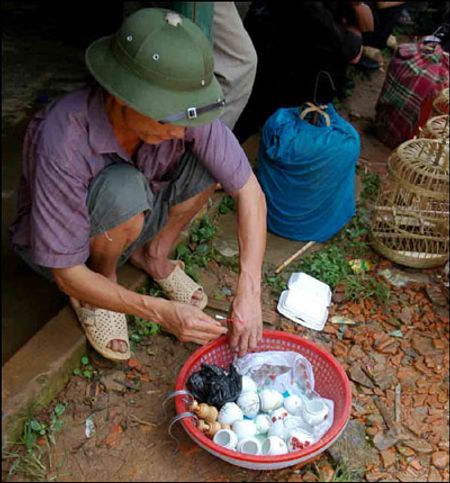 Ông Hảng Văn Phù, người dân tộc Mông hơn 70 tuổi, một trong những người kinh doanh có tiếng chim hoạ my ở phố huyện Mường Khương đang lựa mua chim ở chợ ngày 13/7/2009