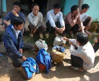 Chờ bán chim họa my