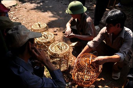 Những chiếc lồng chim sành điệu của Việt Nam