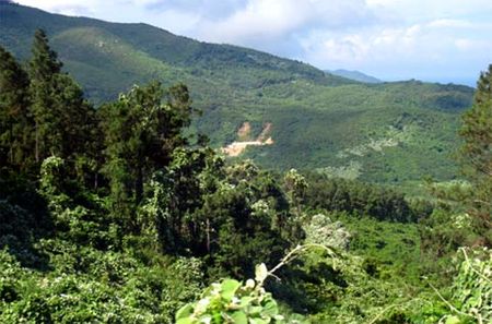 Thưởng ngoạn vẻ điệp trùng hùng vĩ và hoang sơ của đại ngàn Hoàng Liên. Lắng nghe hơi thở của núi rừng, chảy trong huyết quản - âm vang từ bốn ngàn năm văn hiến.