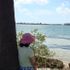 Đi giang hồ: St Pete beach