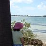 Đi giang hồ: St Pete beach