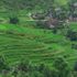 Giảm giá tour: Khách nội địa tăng mạnh