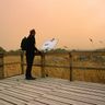 Du khách dừng chân ngắm cảnh tại Azraq Wetlands.