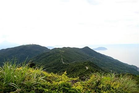 Đường trên bán đảo Sơn Trà
