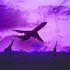 Air travel - Airline Safety