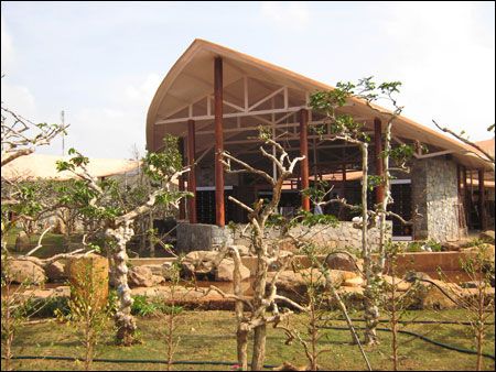 Những ngôi nhà hình lá cà phê