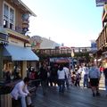 Một ngày vui tại Pier 39 Vịnh San Francisco