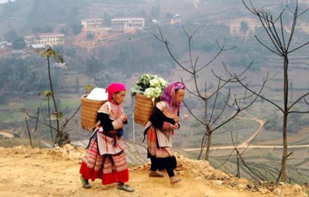 Để kịp phiên chợ, những phụ nữ người Mông này phải dậy từ khi trời còn mờ sáng và đến chợ lúc 4h.