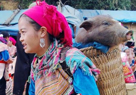 Họ đem bán những mặt hàng nông sản tự tay làm ra.