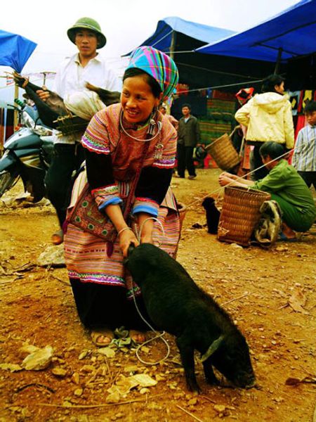 Chợ Bắc Hà, Lào Cai.