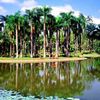 Thiên nhiên xinh đẹp ở Quý Châu