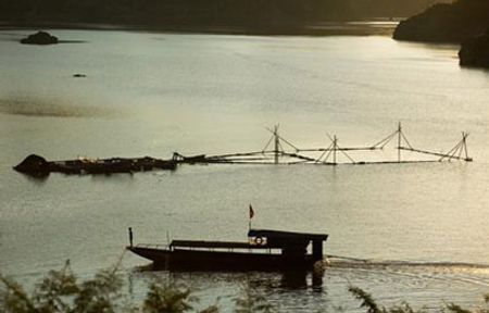 Một góc Thung nai