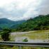 Đại ngàn Trường Sơn