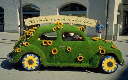 Volkswagen Beetle cỏ hoa