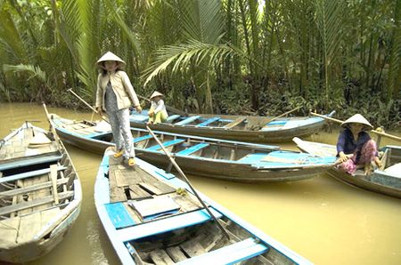 Bến thuyền chờ khách du lịch đi tham quan rừng dừa.