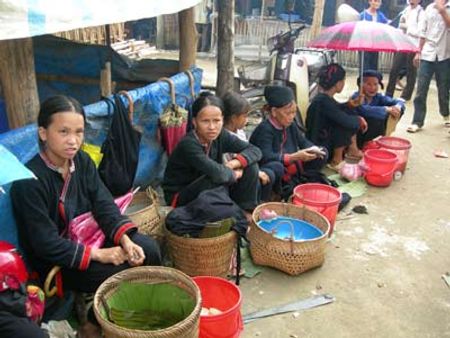 Măng luôn được bán hết cho những người lấy mang về xuôi