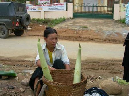 Chị Triệu Thị Pén đi bộ 6km chỉ để bán 2 quả bầu