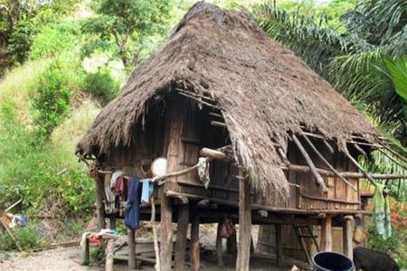 Những ngôi nhà truyền thống dựng trên cột gỗ và lợp lá cọ