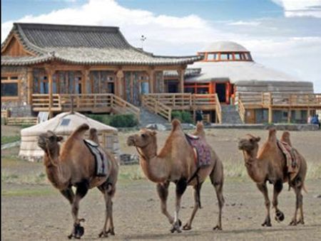 Nhà trọ Three Camel