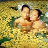Khách sạn Golden Hạ Long