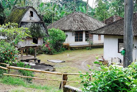 Nhà trọ sinh thái Sarinbuana