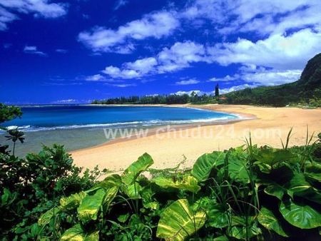Thiên đường du lịch thế giới Hawai !!! 15