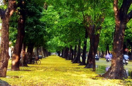 Hà Nội