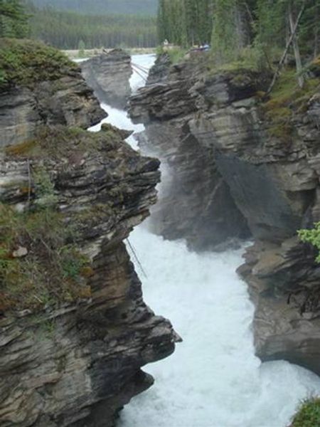 Thác nước Athabasca, một trong số ít thác mạnh nhất ở Canada