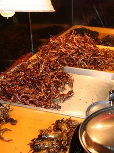 Côn trùng chiên giòn - một món ăn thú vị ở Thái Lan