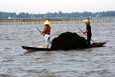 Vợ chồng ngư dân trẻ hằng ngày mưu sinh trên phá.