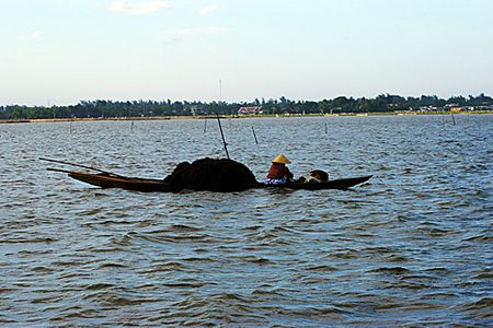 Với nghề thu gom tảo.