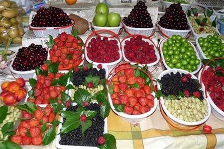 Dâu tươi đang đợi khách mua