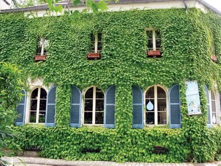 Căn nhà phủ dây leo xanh rì trong công viên Bercy