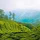 Munnar - Thiên nhiên vẫy gọi