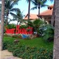 Khu nghỉ mát Sunny Beach