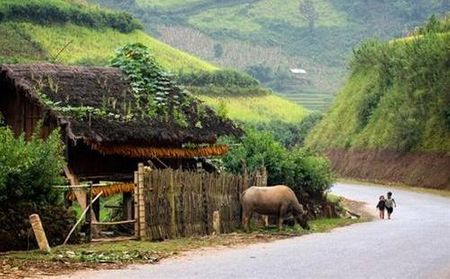 Ngôi nhà trên núi