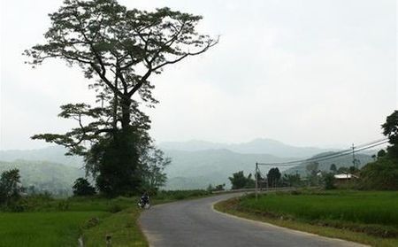 Quốc lộ 32