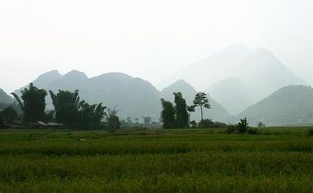 Tú Lệ