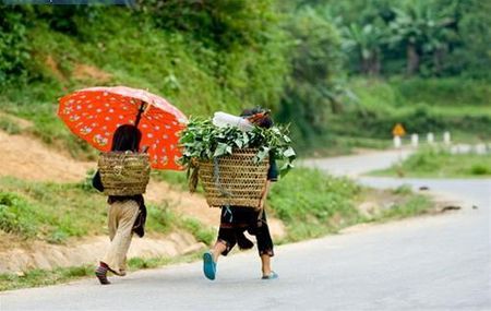 Đường về