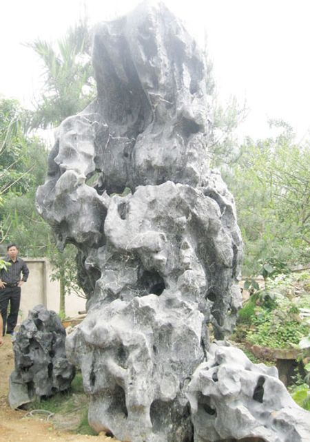 Hòn đá được cho rằng có hình bản đồ nước Việt.