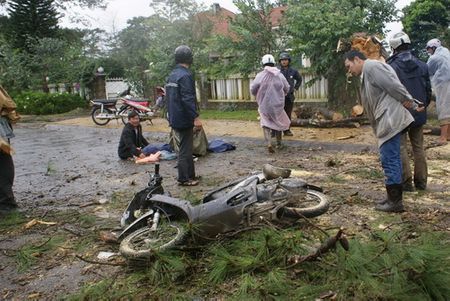 Cô giáo Phùng Thị Thanh (Đà Lạt) - người bị cây ngã đổ - chết tại chỗ sáng nay 29-9, chiếc xe máy bị tan ná