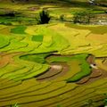 Mùa thu vàng trên khắp mảnh đất Tây Bắc