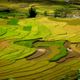 Mùa thu vàng trên khắp mảnh đất Tây Bắc